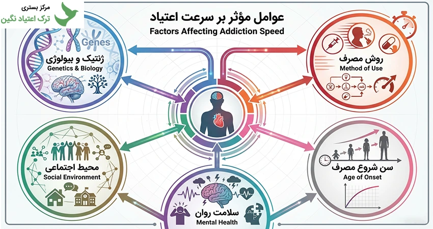 عوامل مؤثر بر سرعت اعتیاد