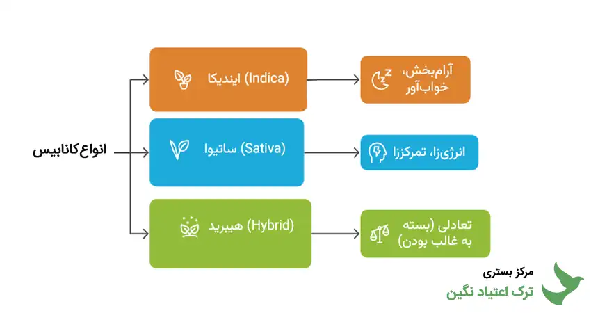 انواع کانابیس