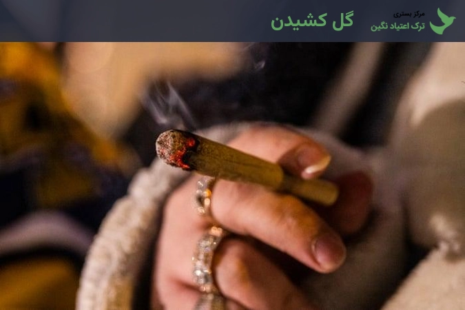 عکس گل کشیدن