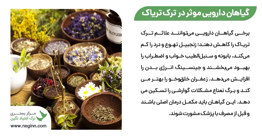 گیاهان دارویی موثر در کاهش علائم ترک تریاک