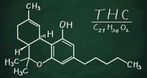 تاثیرات تی اچ سی بر مغز