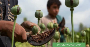 خواص شیره تریاک برای مردان